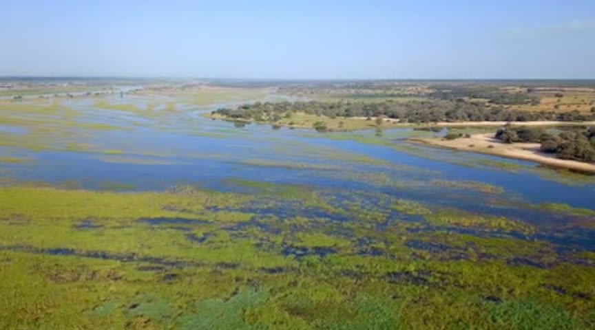 Okavango Delta, Angola (Border with Namibia), Angola